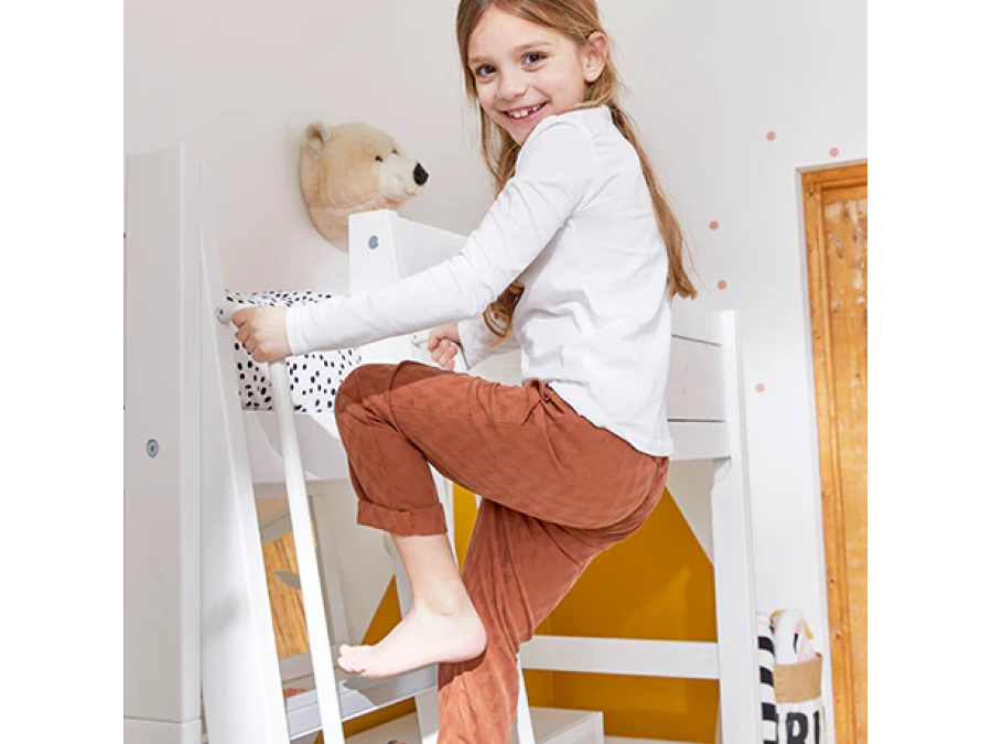 Lifetime leuning voor ladders - Afbeelding 3