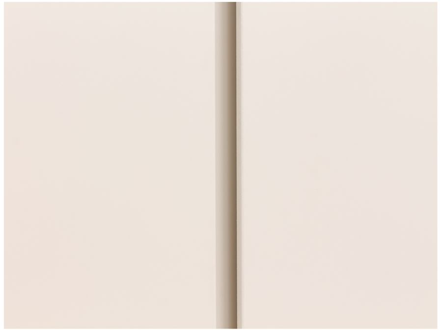 11621959 2 door wardrobe detail grip