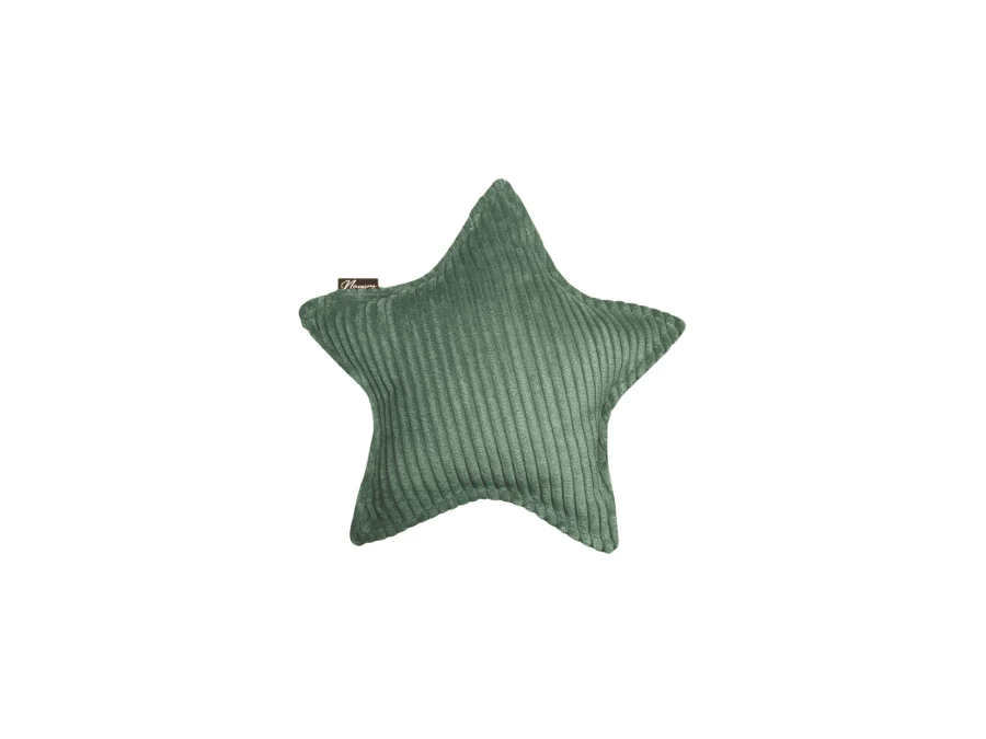 Namini-kussen_vorm_ster_Groen-900x675