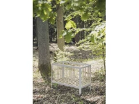 Pure_lifestyle_forest_19-200x150