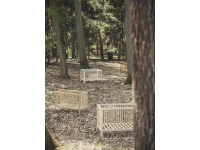 Pure_lifestyle_forest_3-200x150