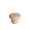 Standard Knob W1